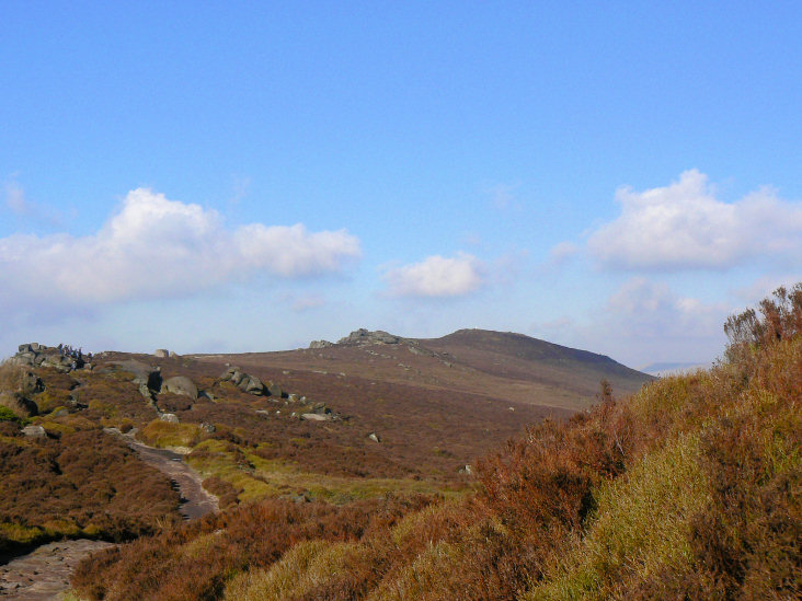 The Roaches The Roaches